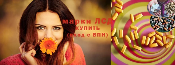 mdpv Каменка