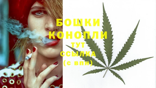 кокс Каменногорск