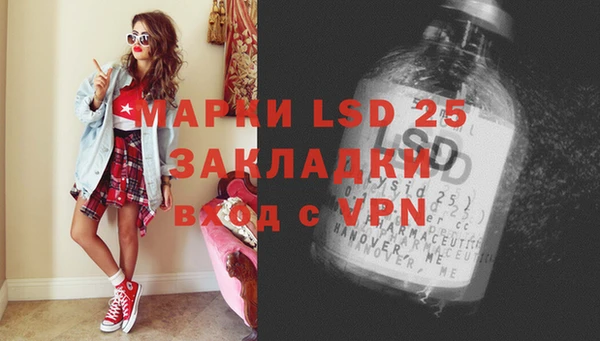 mdpv Каменка
